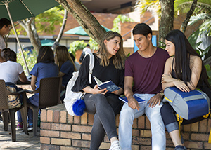 Programas académicos y de formación continua