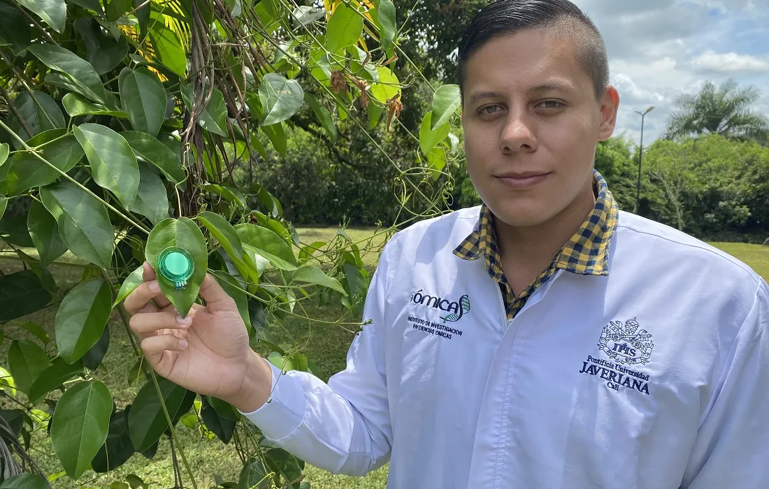 Estudiante de doctorado creó un sensor para medir la producción de glucosa molecular en plantas